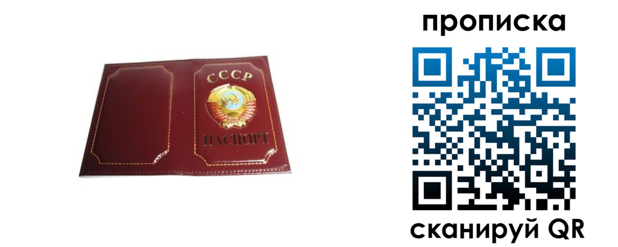 прописка гарантия в Нерчинске